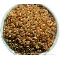 Brown Rice Powder